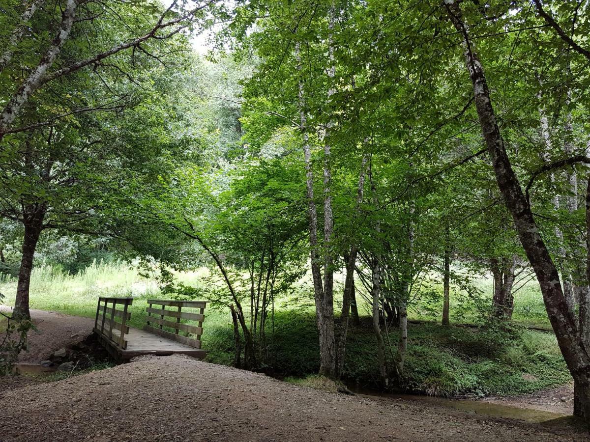 Gite De Sauviat 25 Chemin Du Grand Pacher Le Bourg De Sauviat 63120 Exterior foto