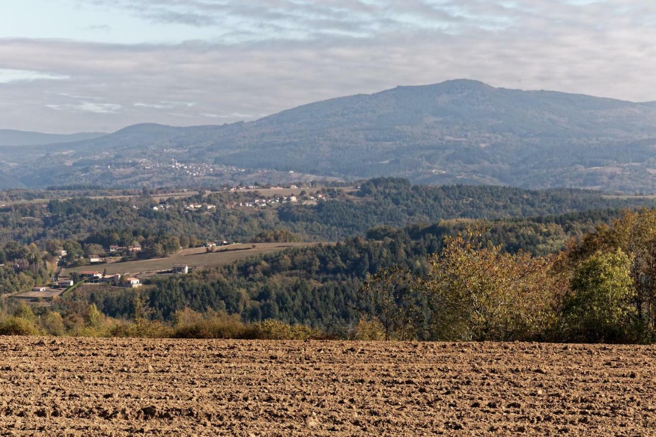 Gite De Sauviat 25 Chemin Du Grand Pacher Le Bourg De Sauviat 63120 Exterior foto